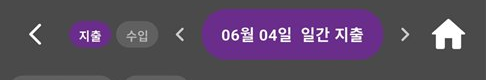 시각화 상단바. 왼쪽에 지출 수입 토글 버튼, 가운데에 6월 4일 일간 지출 표시